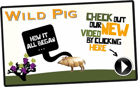 HOW IT ALL BEGAN... Check out the video!